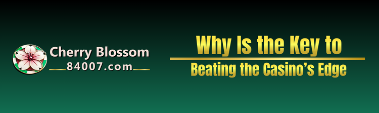 Why Free100 Is the Key to Beating the Casino’s Edge